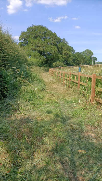 Cleared path jun 2023
