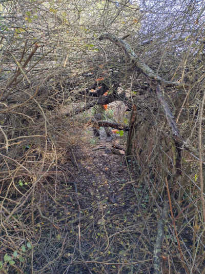 Nov 2023 Task Photo 2