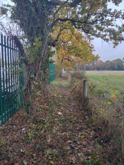 Nov 2023 Task Photo 3