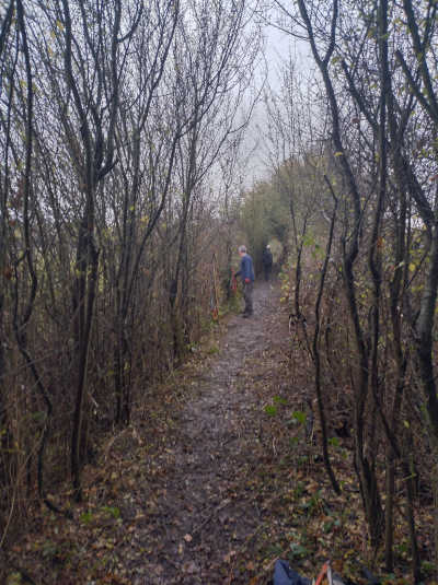 Nov 2023 Task Photo 4