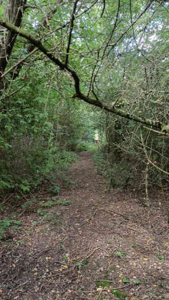 Photo 1 Cutting back the established path