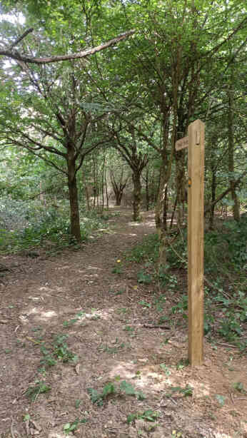 Photo 5 The new finger post at the east end pointing to opened path