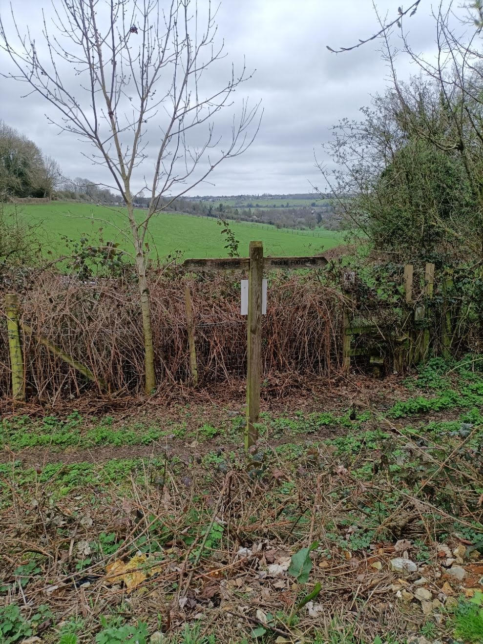 Signpost MD