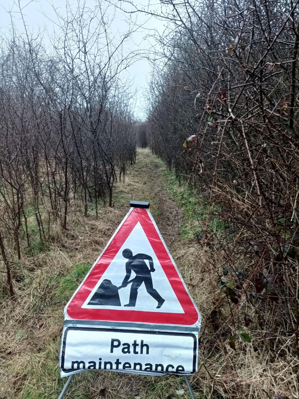footpath 2 after MD
