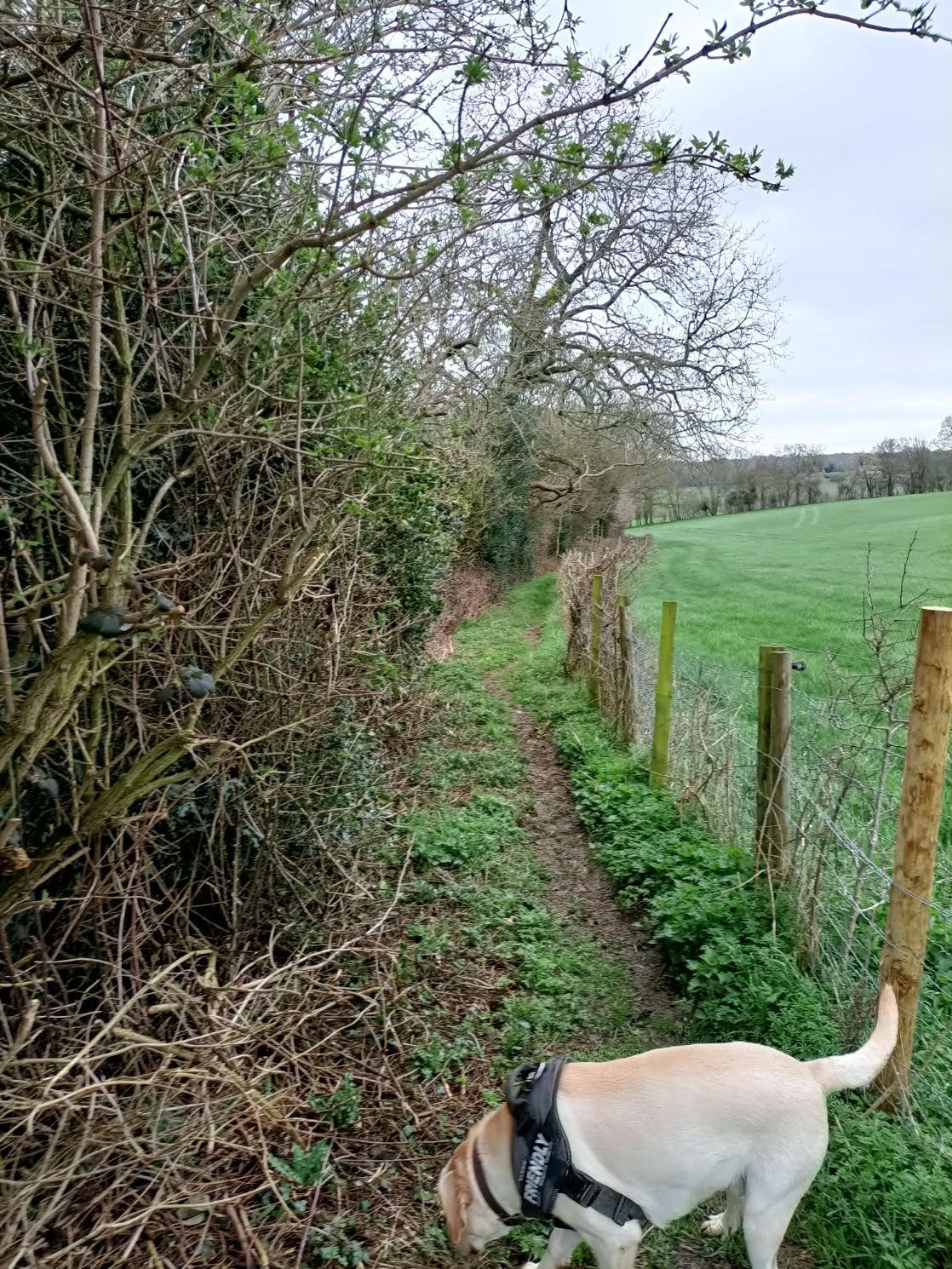 footpath after MD