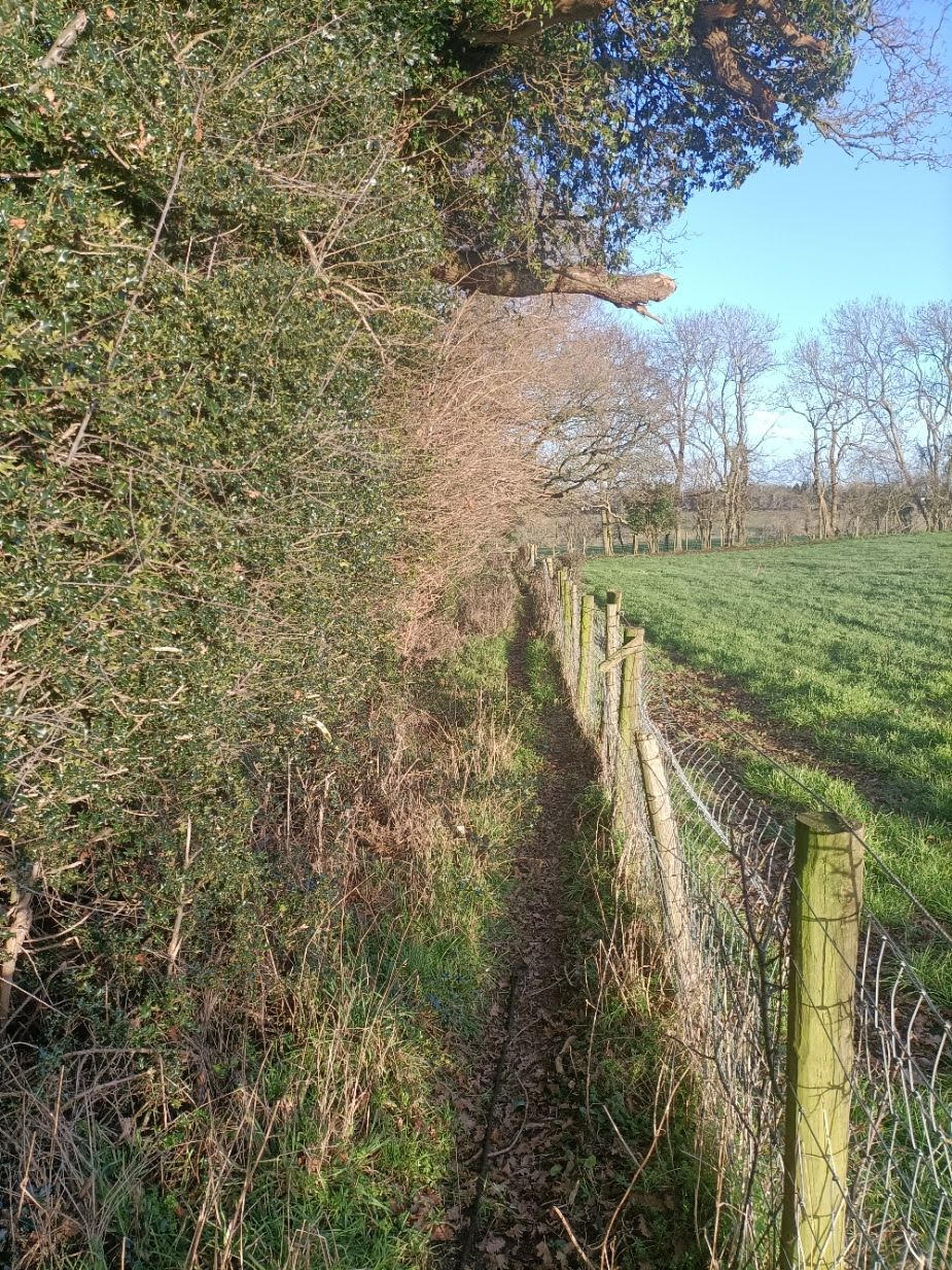 footpath before MD