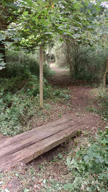 section 1 sleeper bridge