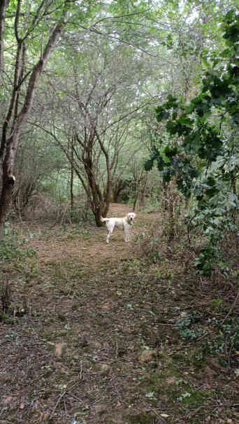 section 3